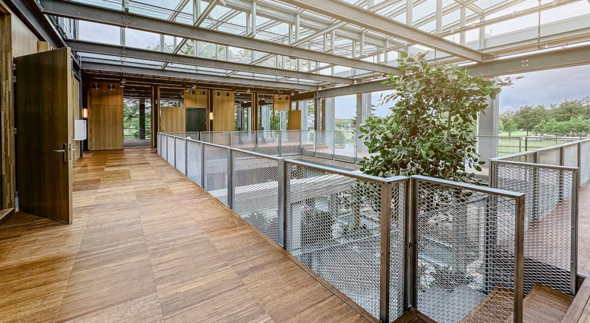 Edited with Lens Distortions v6.6.0