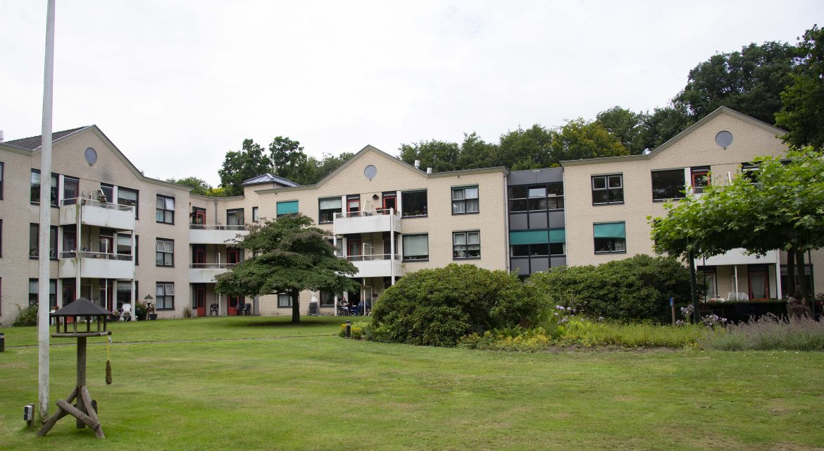 Tolzicht Brummen extramuraal juli 2020 (4)