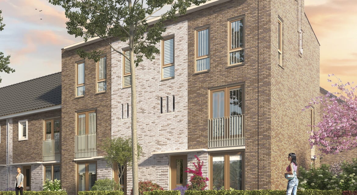 Tuinen van Krispijn – koriander