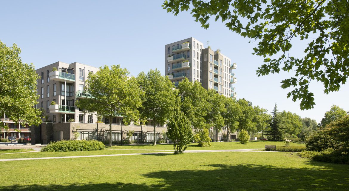 extravert aanzicht met boom