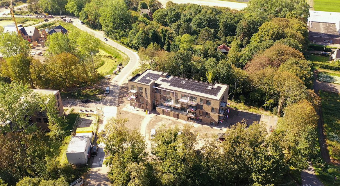 langehorst in het groen