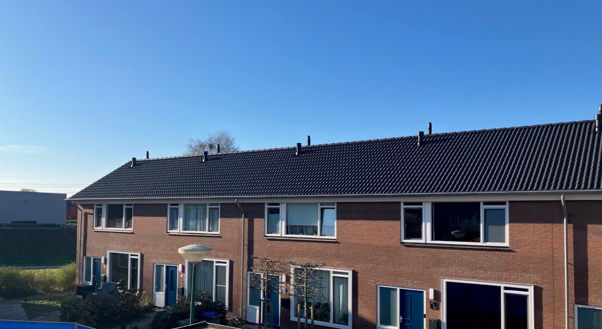 voortgang4 gesneden