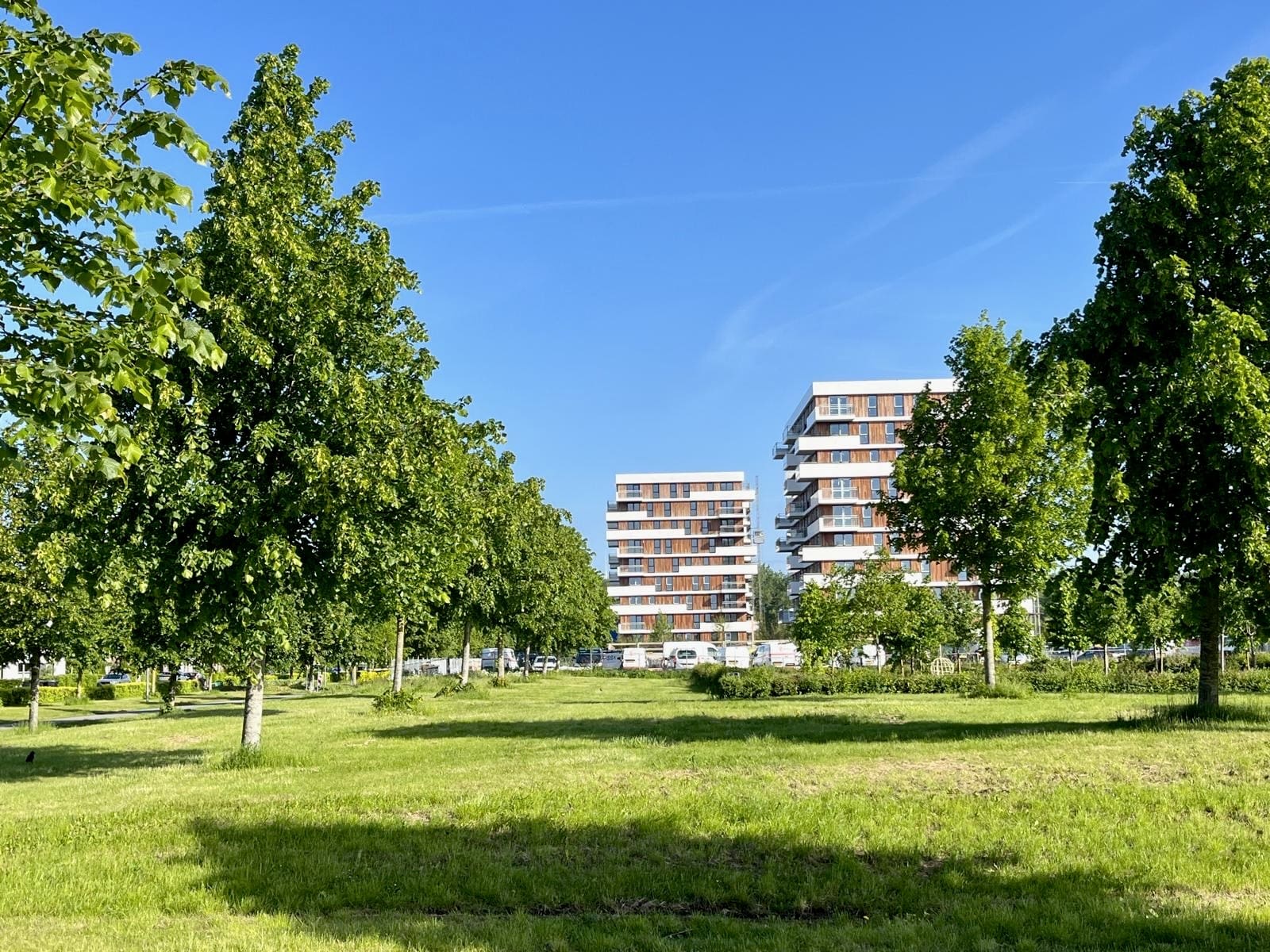 Dag van de Duurzaamheid